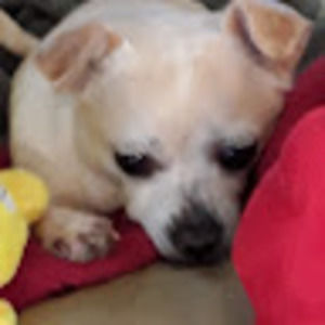 Meet your Posher, Coleen